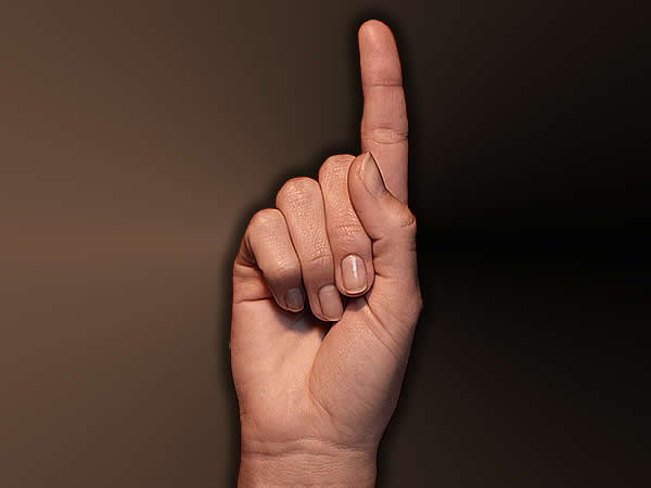 Alles aus einer Hand